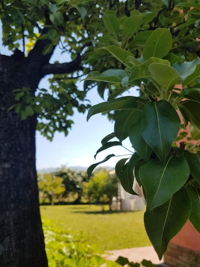 Appartamenti Ca'Melia Sarzana Exterior foto