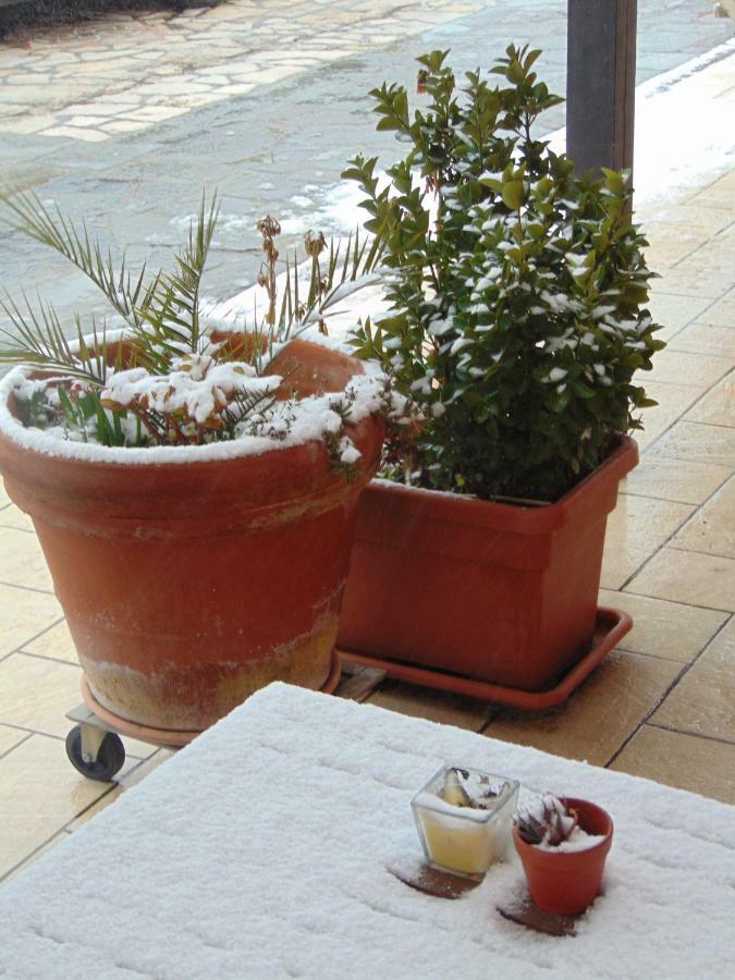 Appartamenti Ca'Melia Sarzana Exterior foto
